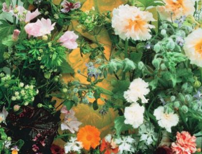 Spiselige blomsterblanding